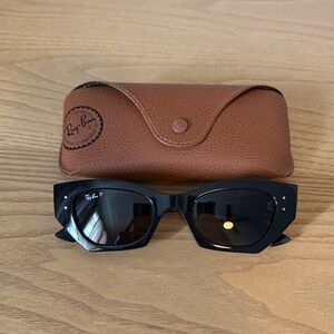 Ray-Ban Black Sunglasses with Brown Case